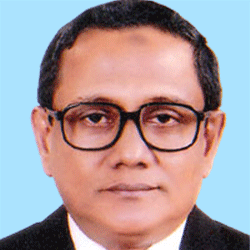 Prof. Dr. Mir Nazrul Islam