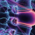 PLID Operation কি