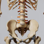 হাত পা ঝিনঝিন করলে কী খাওয়া উচিত